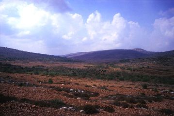 Lire la suite à propos de l’article 1er seuil, Exode ; Bruxelles